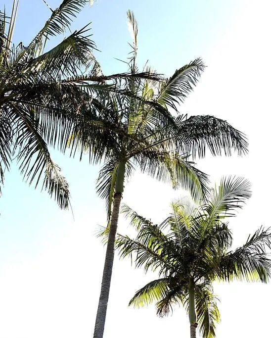 The Drifter Surf Lodge Gold Coast Australia